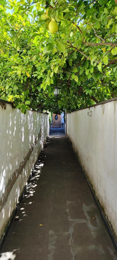Ferienwohnung Casa Teresinella Garden Torre Annunziata Exterior foto